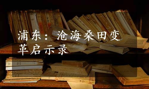 浦东：沧海桑田变革启示录