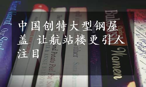 中国创特大型钢屋盖 让航站楼更引人注目