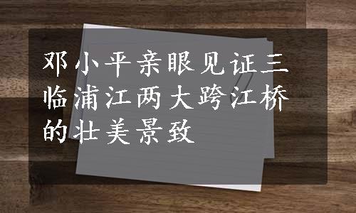 邓小平亲眼见证三临浦江两大跨江桥的壮美景致