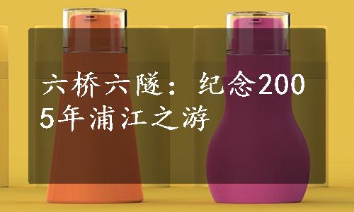 六桥六隧：纪念2005年浦江之游