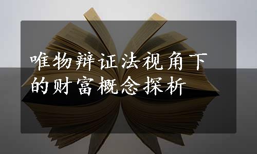 唯物辩证法视角下的财富概念探析