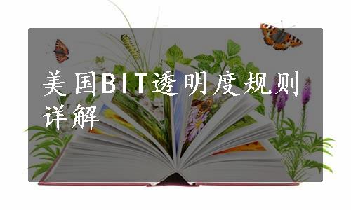 美国BIT透明度规则详解