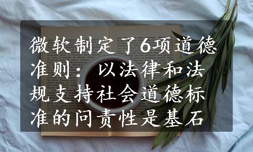 微软制定了6项道德准则：以法律和法规支持社会道德标准的问责性是基石