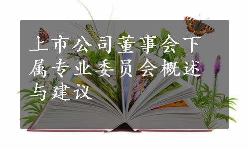 上市公司董事会下属专业委员会概述与建议