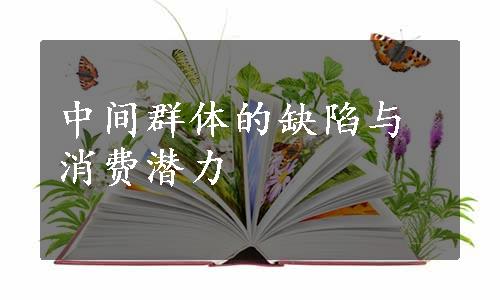 中间群体的缺陷与消费潜力