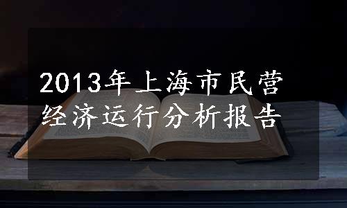 2013年上海市民营经济运行分析报告