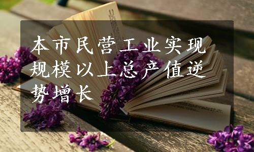 本市民营工业实现规模以上总产值逆势增长