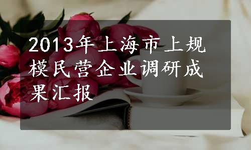 2013年上海市上规模民营企业调研成果汇报