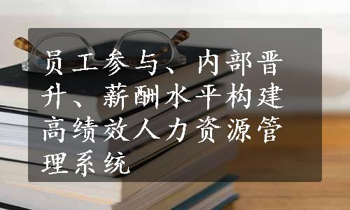 员工参与、内部晋升、薪酬水平构建高绩效人力资源管理系统