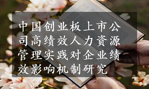 中国创业板上市公司高绩效人力资源管理实践对企业绩效影响机制研究