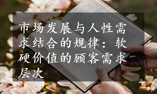 市场发展与人性需求结合的规律：软硬价值的顾客需求层次