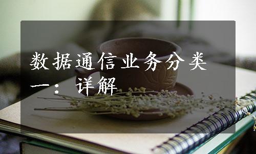 数据通信业务分类一：详解