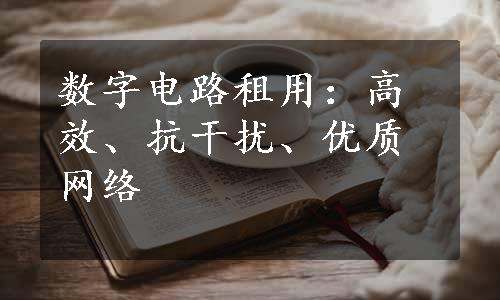 数字电路租用：高效、抗干扰、优质网络