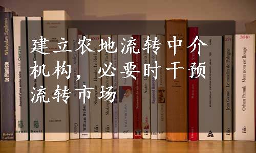 建立农地流转中介机构，必要时干预流转市场