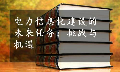 电力信息化建设的未来任务：挑战与机遇