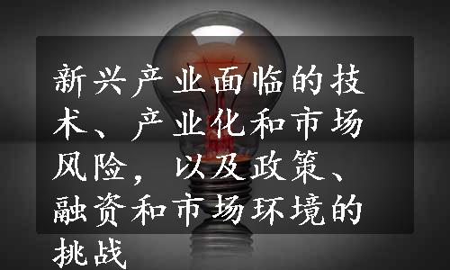 新兴产业面临的技术、产业化和市场风险，以及政策、融资和市场环境的挑战