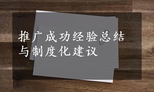 推广成功经验总结与制度化建议