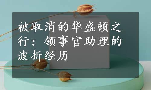 被取消的华盛顿之行：领事官助理的波折经历