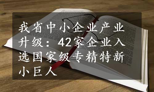 我省中小企业产业升级：42家企业入选国家级专精特新小巨人