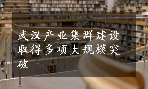 武汉产业集群建设取得多项大规模突破