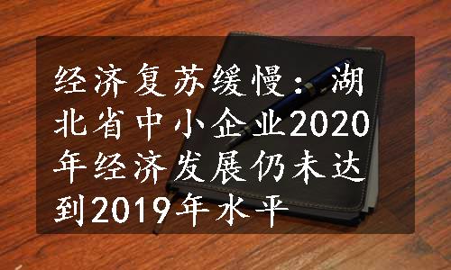 经济复苏缓慢：湖北省中小企业2020年经济发展仍未达到2019年水平