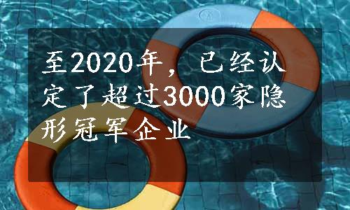 至2020年，已经认定了超过3000家隐形冠军企业