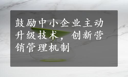 鼓励中小企业主动升级技术，创新营销管理机制