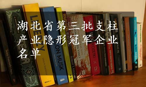 湖北省第三批支柱产业隐形冠军企业名单