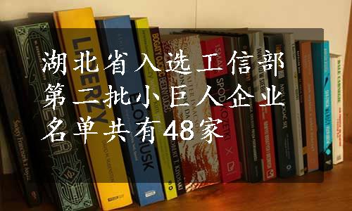 湖北省入选工信部第二批小巨人企业名单共有48家