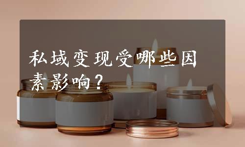 私域变现受哪些因素影响？