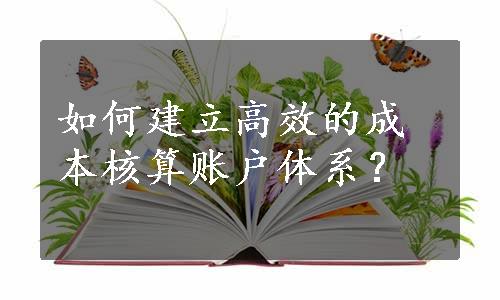 如何建立高效的成本核算账户体系？