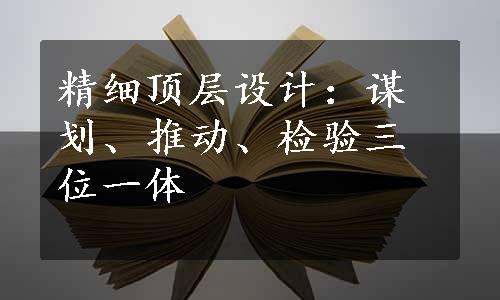 精细顶层设计：谋划、推动、检验三位一体