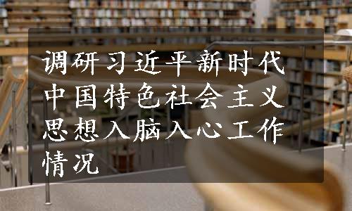 调研习近平新时代中国特色社会主义思想入脑入心工作情况