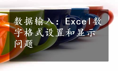 数据输入：Excel数字格式设置和显示问题