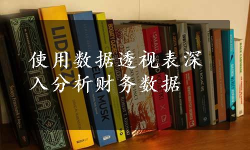 使用数据透视表深入分析财务数据