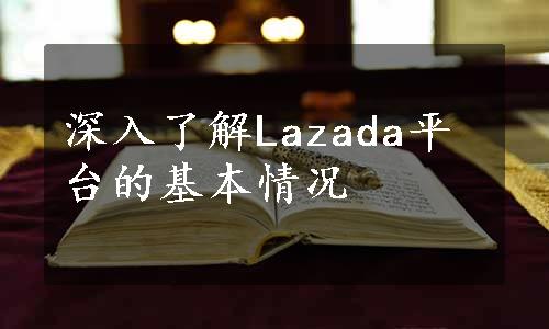 深入了解Lazada平台的基本情况