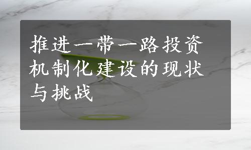 推进一带一路投资机制化建设的现状与挑战