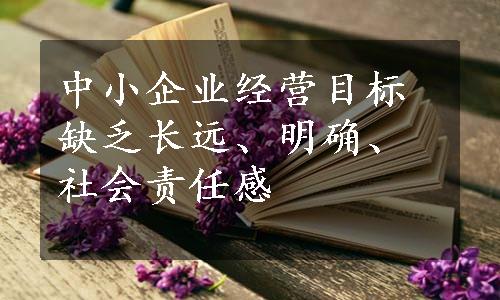 中小企业经营目标缺乏长远、明确、社会责任感