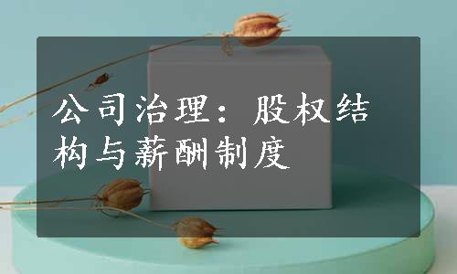 公司治理：股权结构与薪酬制度