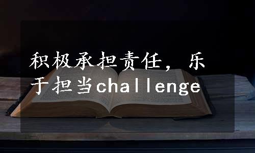 积极承担责任，乐于担当challenge