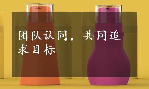 团队认同，共同追求目标