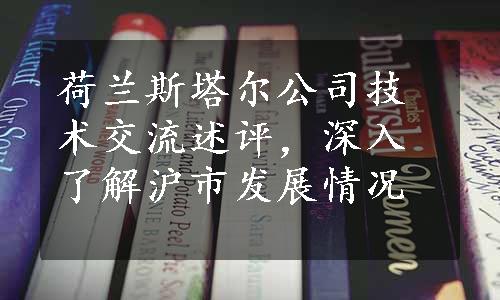 荷兰斯塔尔公司技术交流述评，深入了解沪市发展情况