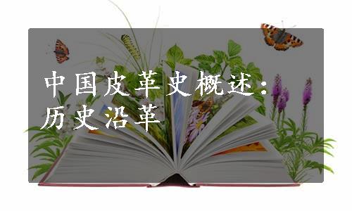 中国皮革史概述：历史沿革