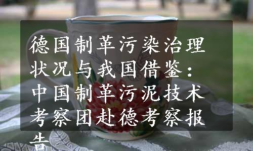 德国制革污染治理状况与我国借鉴：中国制革污泥技术考察团赴德考察报告