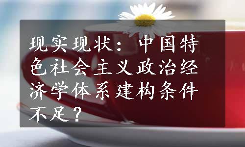 现实现状：中国特色社会主义政治经济学体系建构条件不足？