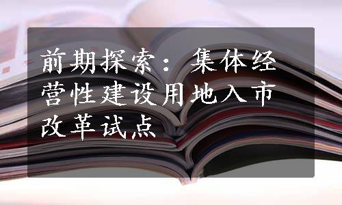 前期探索：集体经营性建设用地入市改革试点