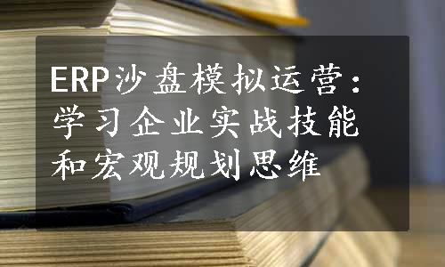 ERP沙盘模拟运营：学习企业实战技能和宏观规划思维