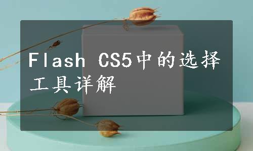 Flash CS5中的选择工具详解