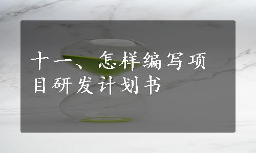 十一、怎样编写项目研发计划书