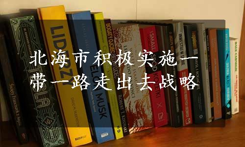 北海市积极实施一带一路走出去战略